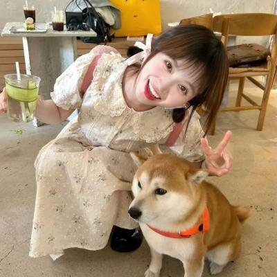 一条叫王子的狗